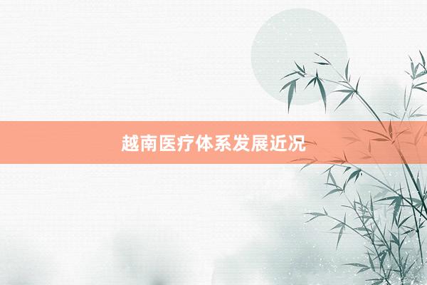 越南医疗体系发展近况