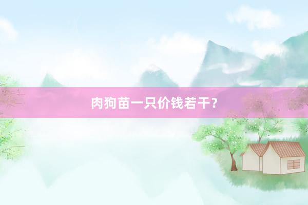 肉狗苗一只价钱若干？